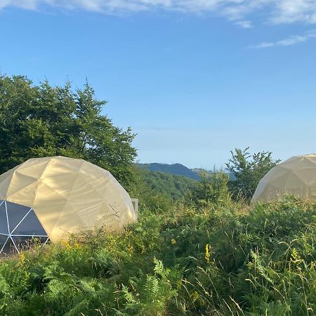 Dome Home Tents Taor Βάλιεβο Εξωτερικό φωτογραφία